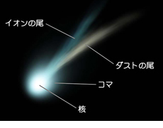 彗星の構造（提供：国立天文台）