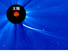太陽観測衛星がとらえたアイソン彗星（2013年11月28日撮影）（提供：ESA/NASA/SOHO）