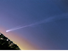 アイソン彗星（2013年11月22日撮影）（提供：Michael Jäger）