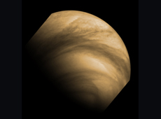 硫酸の雲に覆われた金星（提供：ESA/MPS/DLR/IDA）