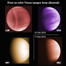 異なる波長で撮影した金星。雲の温度分布（左上、中間赤外線）、硫酸雲の材料となる二酸化硫黄の分布（右上、紫外線）、雲による太陽散乱光（左下、近赤外線）、雲の高低差（右下、近赤外線）。着色に意味はない。