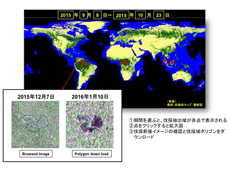 「森林変化検出システム」ウェブサイトのイメージ図