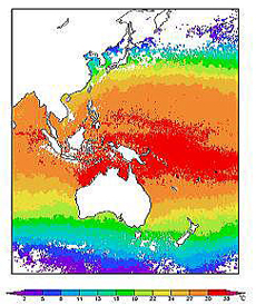 「ひまわり」による海面水温の検出。赤いほど温度が高い。（提供：気象庁）