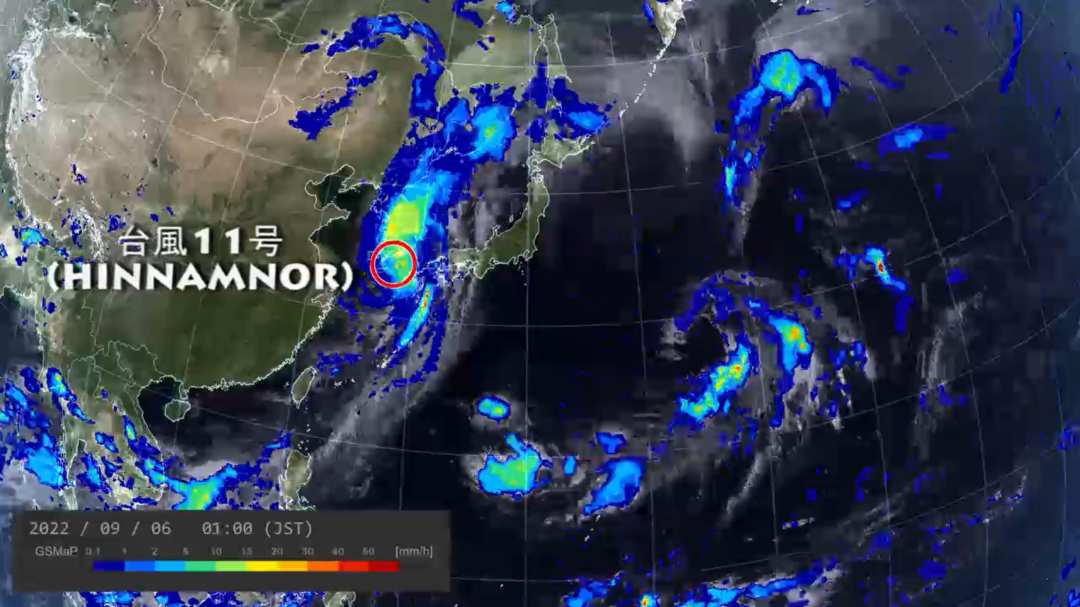 
            今年8～9月に発生した台風11号の、衛星からの観測データ（GSMaP）。
          